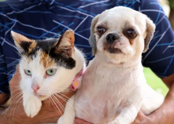 Raiva é uma doença viral grave que afeta o sistema nervoso central de mamíferos, incluindo humanos