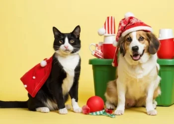 As contribuições podem ser entregues diretamente na Semarh. - Foto: Divulgação