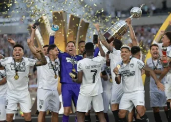 Jogadores do Botafogo levantam taça da Libertadores 2024 • Reprodução/ X @LibertadoresBR