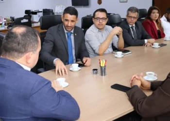 Secretaria da Segurança Pública recebe visita técnica da Companhia de Operações Ambientais.jpeg - Foto: Adrielly Calixto /Governo do Tocantins file_download