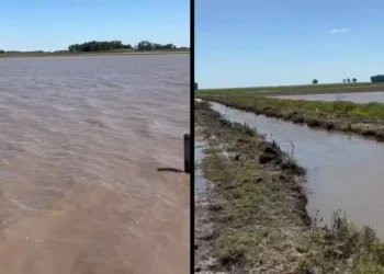 Temporal inundou lavoura de soja em Dom Pedrito — Foto: Bruno Tozzi Da Cas/Arquivo pessoal
