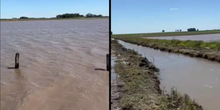 Chuvas inundam lavouras no Rio Grande do Sul