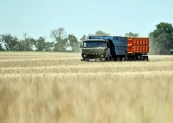 Do total anunciado, R$ 250,2 bilhões serão oriundos de recursos públicos em linhas de crédito • Dmytro Smolyenko/ Ukrinform/Future Publishing via Getty Images