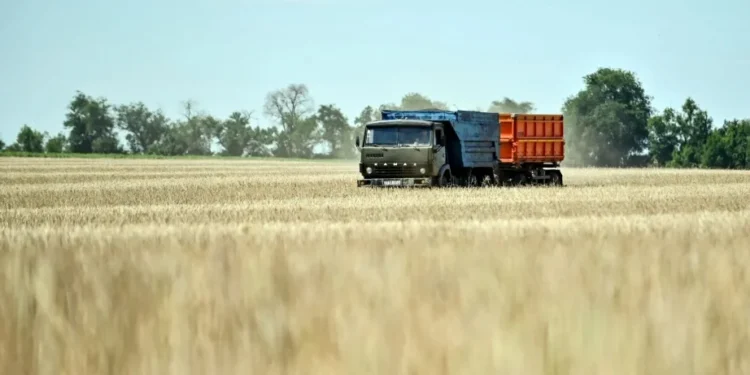 Do total anunciado, R$ 250,2 bilhões serão oriundos de recursos públicos em linhas de crédito • Dmytro Smolyenko/ Ukrinform/Future Publishing via Getty Images