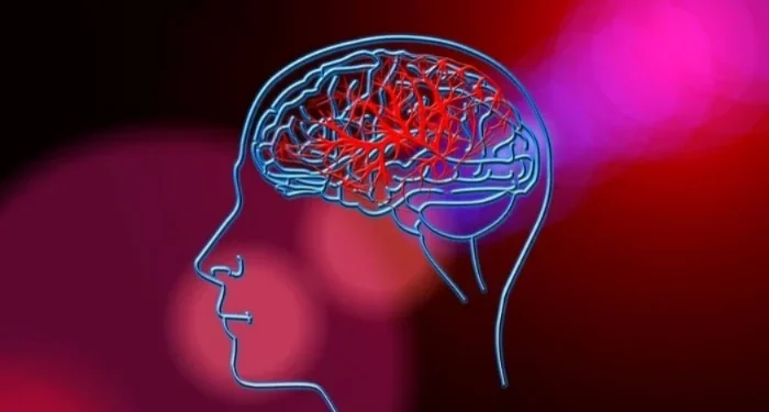 Tratamentos especializados influenciam na recuperação do AVC