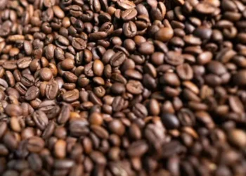 Grãos de café — Foto: Wenderson Araujo/CNA