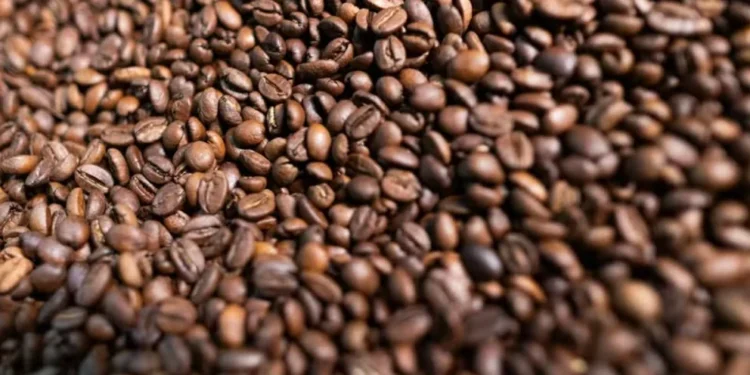 Preço do café arábica recua após alcançar maior valor médio mensal desde 1998