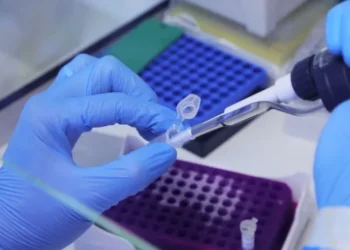 Nova subvariante da Ômicron é identificada em cidade do RJ • Josué Damacena/IOC/Fiocruz