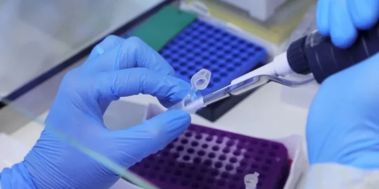 Covid: Rio de Janeiro registra 1° caso de nova subvariante da Ômicron