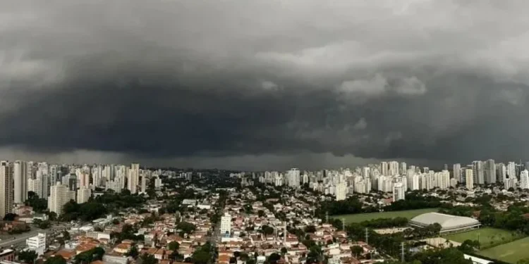 Homem morre após ser levado por enxurrada em SP