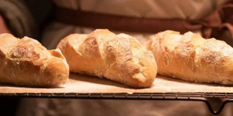 Tapioca ou pão: qual é a melhor opção para incluir na alimentação?