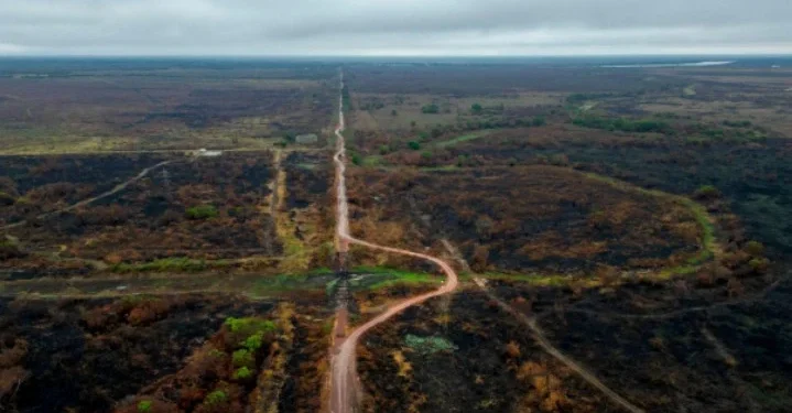 Especialista em Política Internacional do Greenpeace Brasil, Camila Jardim, diz que o prejuízo poderá ser bilionário ao Brasil • Rogerio Florentino / Greenpeace