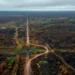 Greenpeace Brasil vê aumento de desmatamento com acordo Mercosul-UE