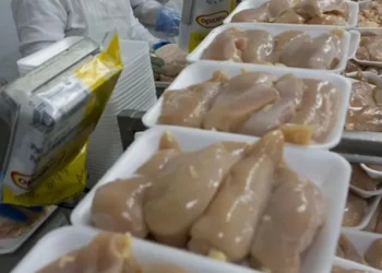 Expectativa é que as exportações de carnes, produto de alto valor agregado, tenham aumentos relevantes — Foto: Globo Rural