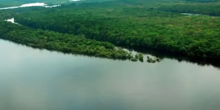 Florestas em terras indígenas ajudam a ‘irrigar’ 80% das áreas agropecuárias do país