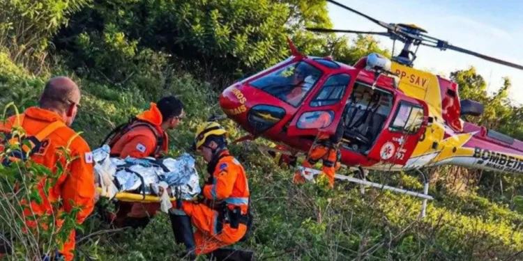 Idoso desaparecido é localizado em mata de Minas Gerais após 7 dias de buscas