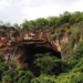 Brasil lidera descoberta de novas espécies e exploração de cavernas, diz estudo