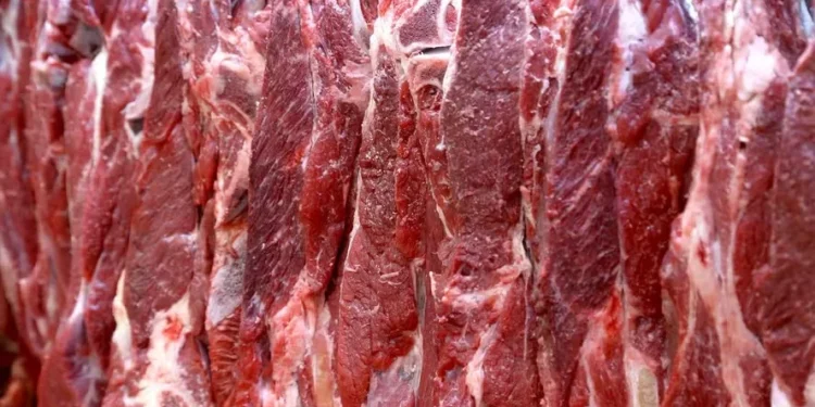 Exportações brasileiras de carne bovina desaceleraram em novembro