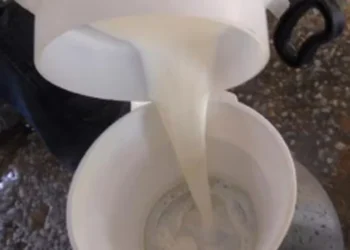 De acordo com a instituição, a prática “vai na contramão de um trabalho meticuloso' — Foto: Arquivo / Agência Brasil