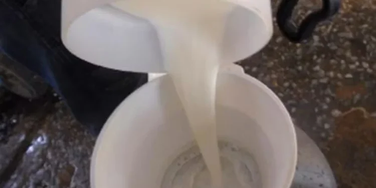 Sindilat repudia adulteração de lácteos feita por indústria de Taquara (RS)