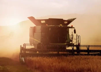 • Robert Wiedemann/ Unsplash