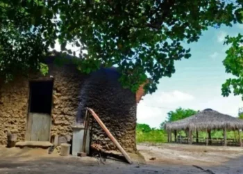 Terra Indígena Potiguara, na Paraíba • PF/Divulgação