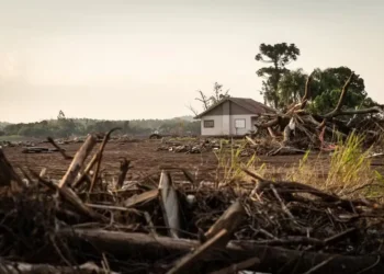 Medida atende produtores rurais e cooperativas agropecuárias afetadas pelas enchentes deste ano no Rio Grande do Sul — Foto: Marcelo Curia