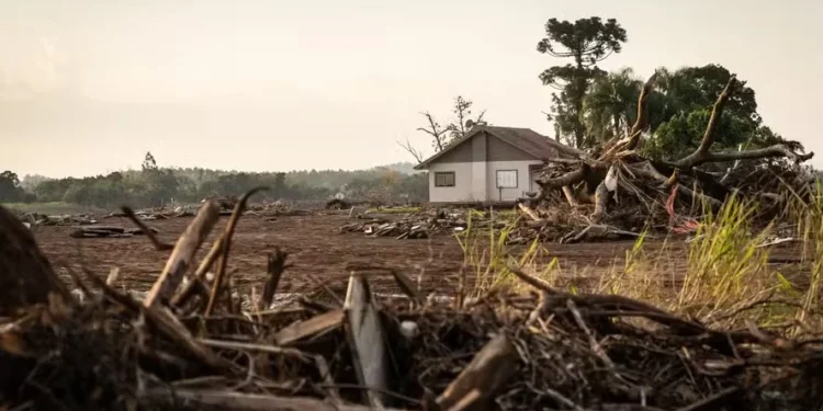 Linha para produtores e cooperativas gaúchas deve ter mais R$ 2,5 bilhões