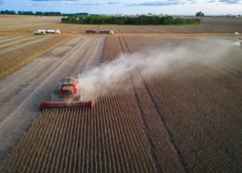 Aumento da produção será puxado pela soja, milho, arroz e feijão — Foto: Wenderson Araújo/CNA