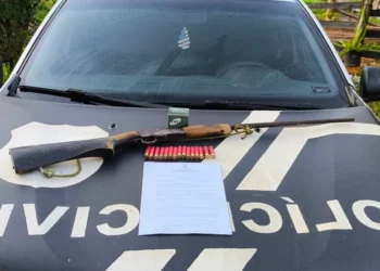 Polícia apreendeu uma espingarda calibre 36 de fabricação caseira, além de 15 munições do mesmo calibre.jpeg - Foto: Divulgação SSP/TO file_download