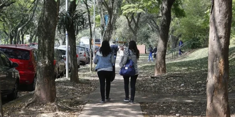 Brasil entra no top 5 universidades mais sustentáveis do mundo; veja lista