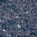 Torcida do Corinthians, na Neo Química Arena • Rodrigo Coca / Corinthians