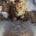 “Mufasa”, “Jurado Nº2” e mais: o que chega ao cinema e ao streaming nesta semana