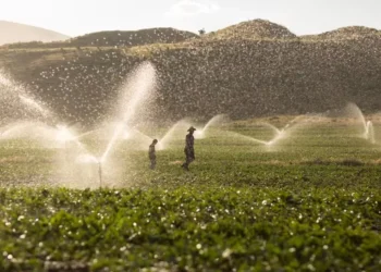 Impacto de eventos climáticos justifica em parte o incremento, afirma Daniel Guimarães — Foto: Getty Images
