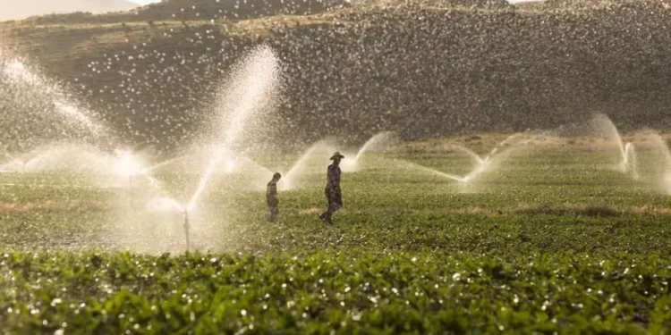 Secas no país fazem área irrigada crescer quase 15% em dois anos