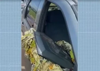 Polícia recupera TV furtada de casa em Palmas — Foto: Reprodução/TV Anhanguera