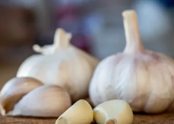 Alho possui diversas propriedades anti-inflamatórias e antioxidantes, mas não há evidências científicas que sustentem a "dieta do alho", segundo especialista • wirestock/Freepik