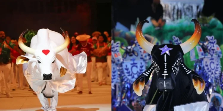 Caprichoso e Garantido desautorizam governo do AM sobre edital para o Festival de Parintins 2025