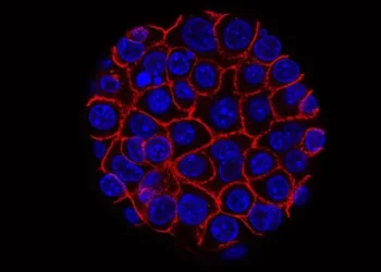 Os imunizantes serão distribuídos gratuitamente no próximo ano para a população do país • National Cancer Institute (EUA)