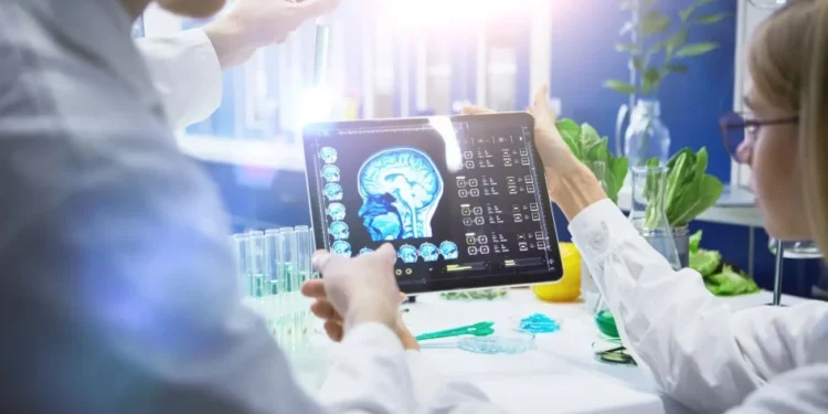 IA pode identificar AVC com o dobro de precisão, mostra estudo