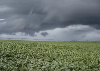 Gestora Verde terá fundo de agro — Foto: José Fernando Ogura/Arquivo AEN