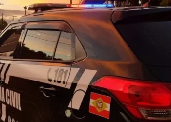 Homem foi preso pela Polícia Civil de Santa Catarina • Reprodução/PC-SC