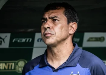 Fábio Carille é o novo treinador do Vasco • Raul Baretta/ Santos FC