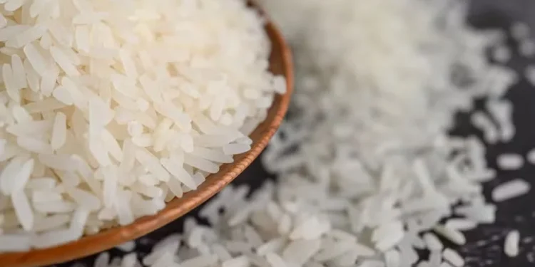 Conab negocia mais 29 mil toneladas de arroz e encerra leilões de contratos de opção