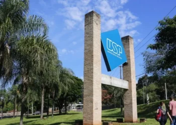 USP Academy atrai estudantes estrangeiros para a universidade • Cecília Bastos/USP Imagens