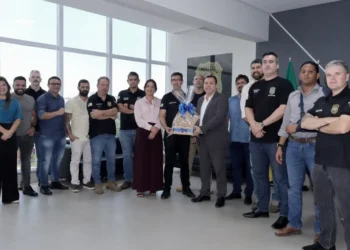 Em 2024, houve uma redução significativa de homicídios e feminicídios - Foto: Luiz de Castro/Governo do Tocantins file_download