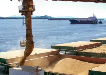 Volumes caíram em comparação ao ano passado devido à quebra da safra — Foto: Claudio Neves/Portos do Paraná