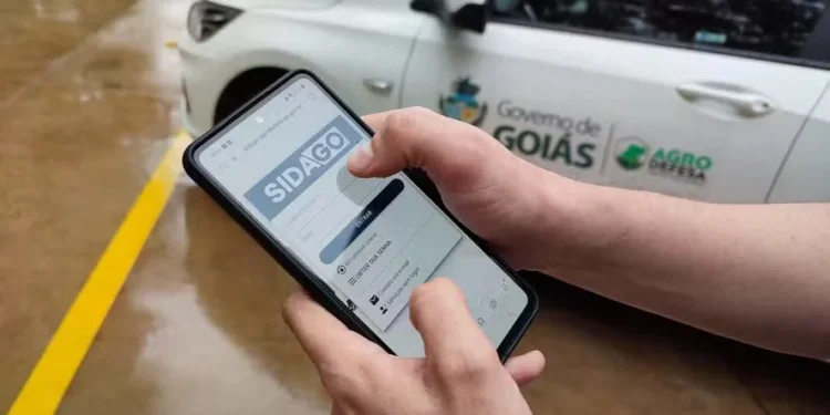 Prazo para declaração de rebanho termina no dia 31 de dezembro em Goiás