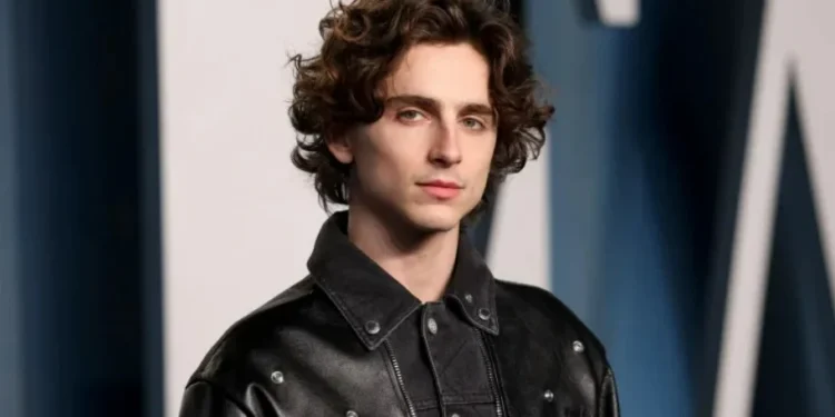 Timothée Chalamet faz 29 enquanto se torna um dos principais nomes de Hollywood