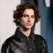 Timothée Chalamet faz 29 enquanto se torna um dos principais nomes de Hollywood